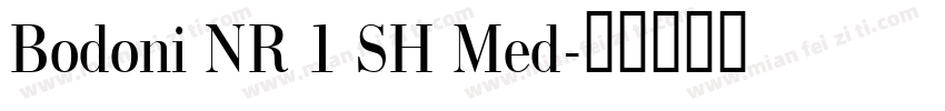Bodoni NR 1 SH Med字体转换